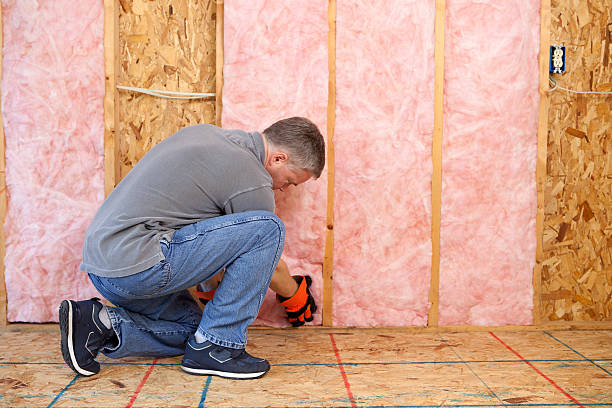 Professional Insulation Contractor in Chesapeake Ranch Estates, MD